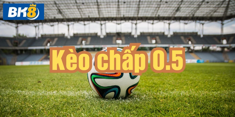 Kèo chấp 0.5 tỷ lệ kèo và cách đọc kèo bóng chính xác