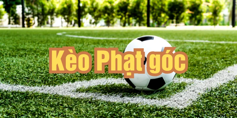 Kèo phạt góc trong bóng đá, tìm hiểu về cách chơi kèo phạt góc